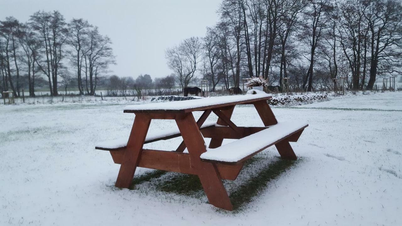 Emsgold Villa Oberlangen Kültér fotó